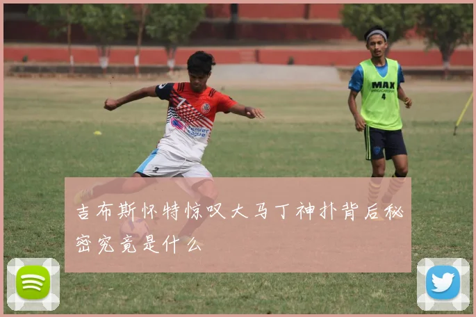 吉布斯怀特惊叹大马丁神扑背后秘密究竟是什么
